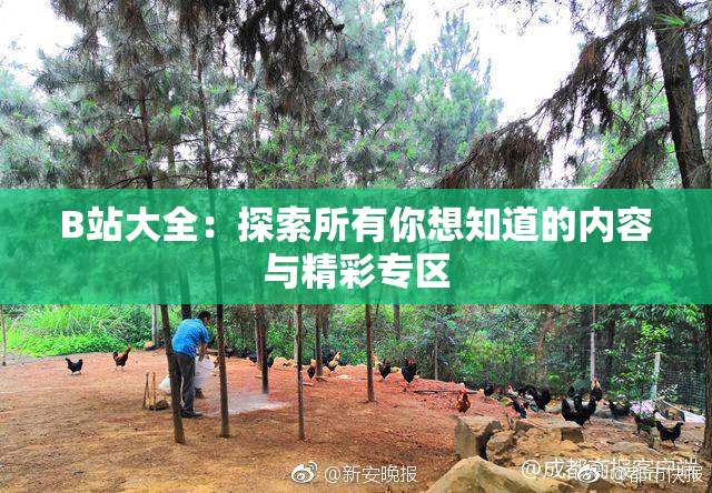 B站大全：探索所有你想知道的内容与精彩专区