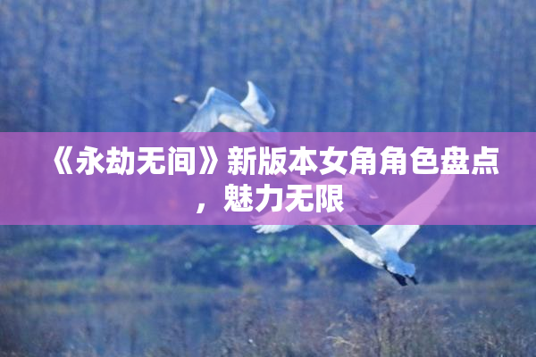 《永劫无间》新版本女角角色盘点，魅力无限