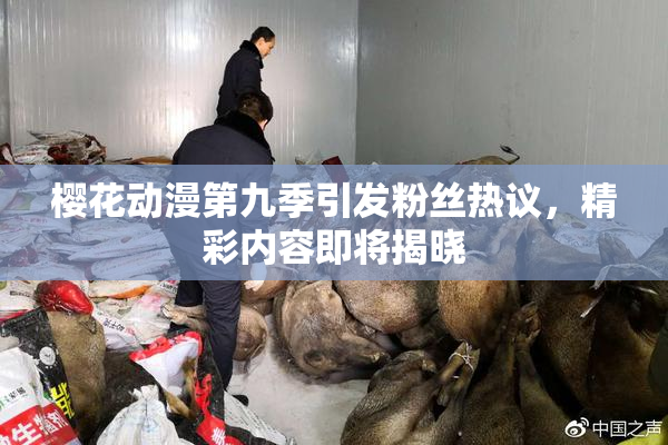 樱花动漫第九季引发粉丝热议，精彩内容即将揭晓