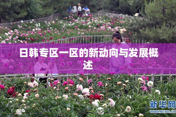 日韩专区一区的新动向与发展概述