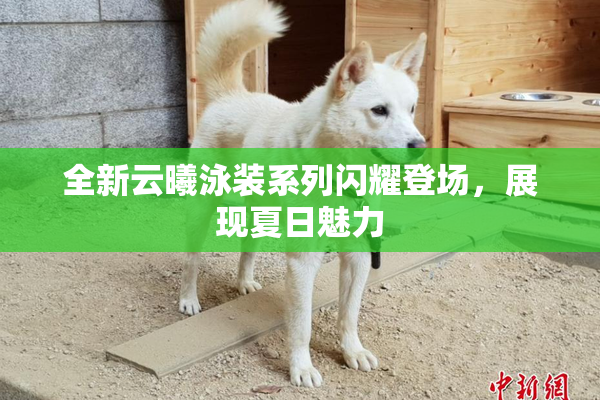 全新云曦泳装系列闪耀登场，展现夏日魅力