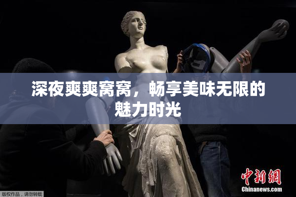 深夜爽爽窝窝，畅享美味无限的魅力时光