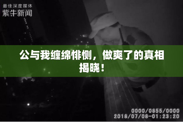 公与我缠绵悱恻，做爽了的真相揭晓！