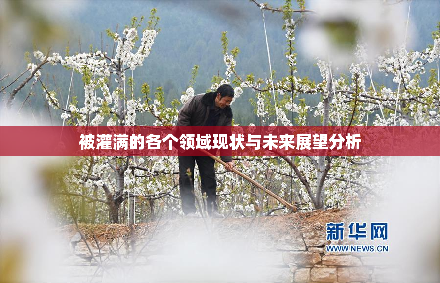 被灌满的各个领域现状与未来展望分析