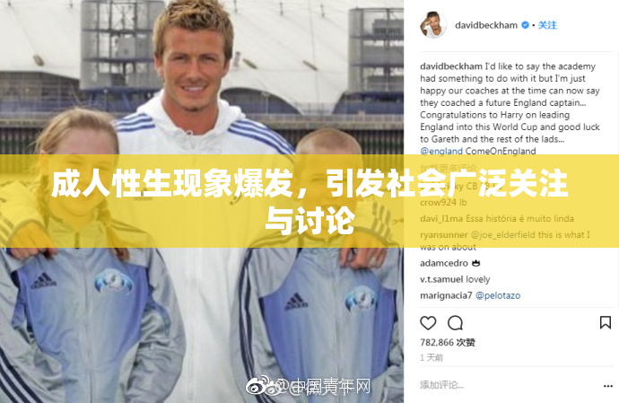 成人性生现象爆发，引发社会广泛关注与讨论