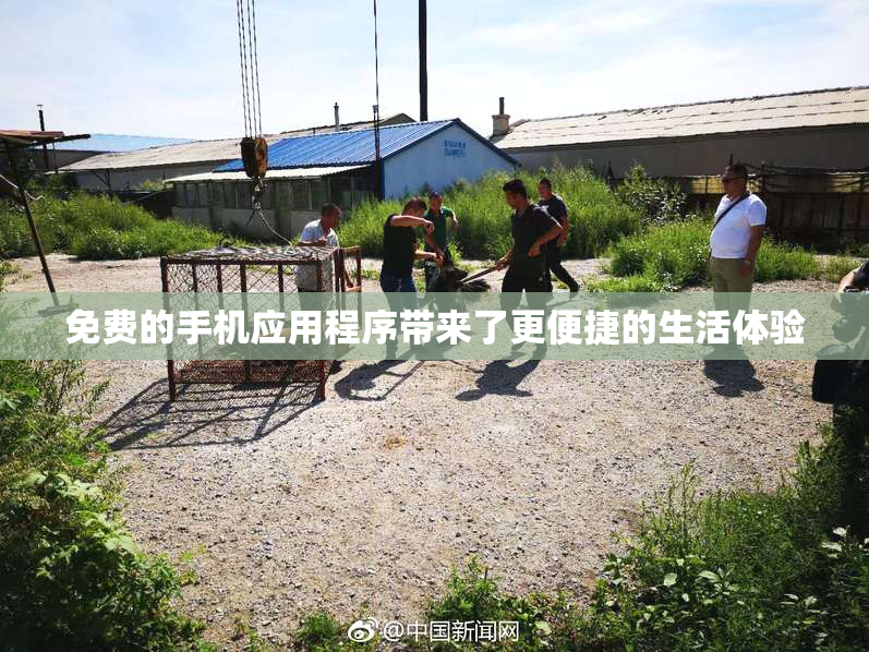 免费的手机应用程序带来了更便捷的生活体验