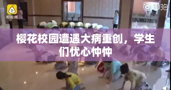 樱花校园遭遇大病重创，学生们忧心忡忡