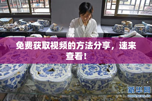 免费获取视频的方法分享，速来查看！