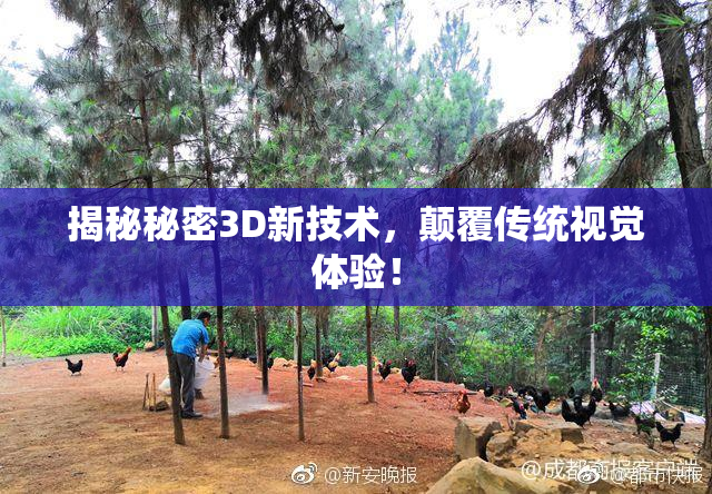 揭秘秘密3D新技术，颠覆传统视觉体验！