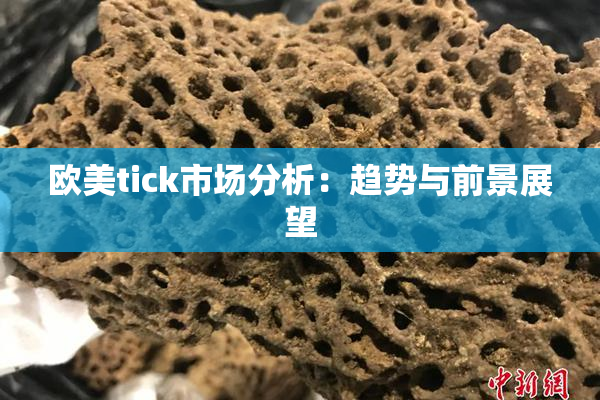 欧美tick市场分析：趋势与前景展望