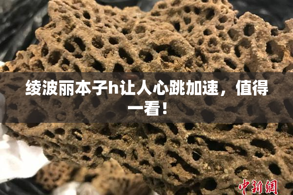 绫波丽本子h让人心跳加速，值得一看！