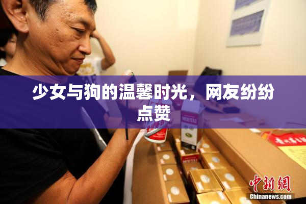 少女与狗的温馨时光，网友纷纷点赞