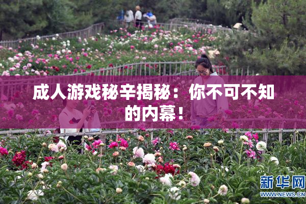 成人游戏秘辛揭秘：你不可不知的内幕！