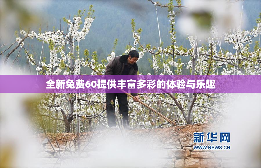 全新免费60提供丰富多彩的体验与乐趣