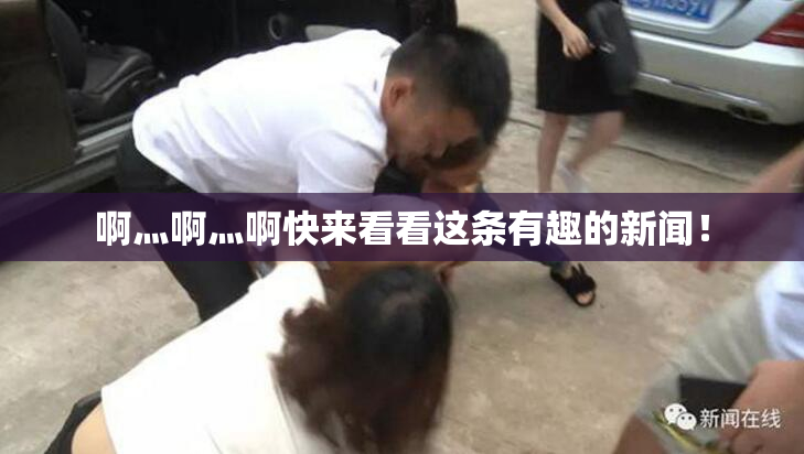 啊灬啊灬啊快来看看这条有趣的新闻！