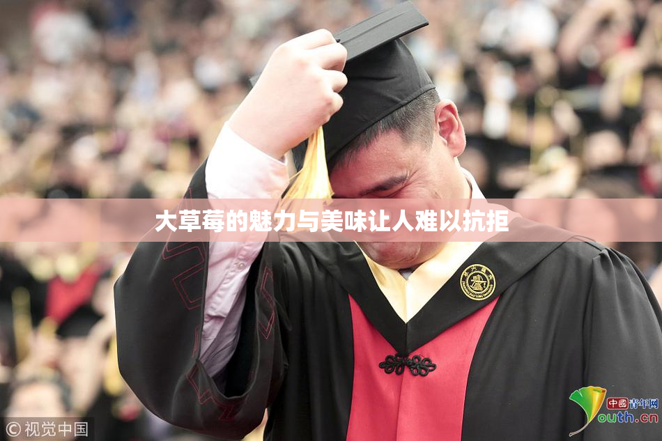 大草莓的魅力与美味让人难以抗拒