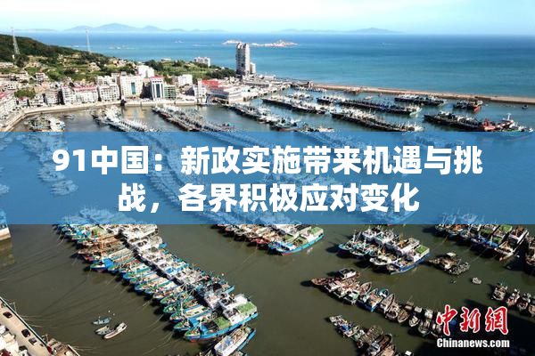 91中国：新政实施带来机遇与挑战，各界积极应对变化