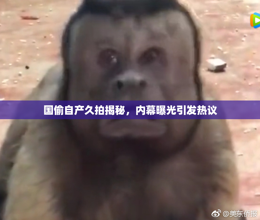 国偷自产久拍揭秘，内幕曝光引发热议