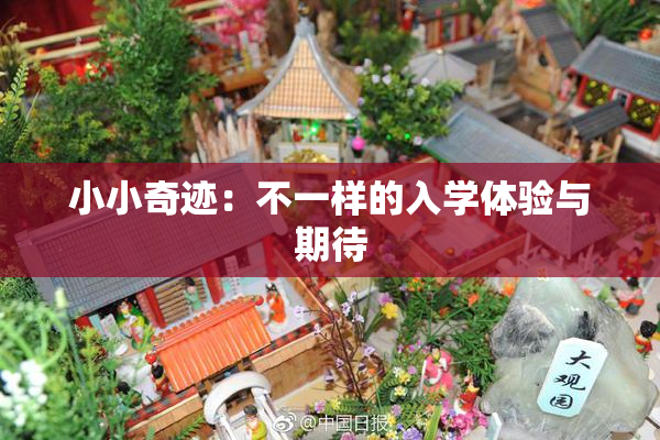 小小奇迹：不一样的入学体验与期待