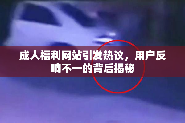 成人福利网站引发热议，用户反响不一的背后揭秘