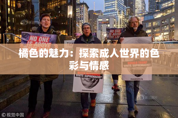 橘色的魅力：探索成人世界的色彩与情感