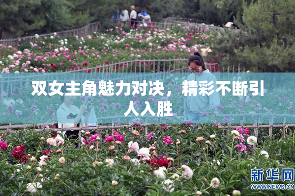 双女主角魅力对决，精彩不断引人入胜