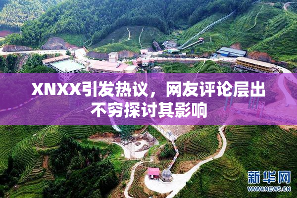 XNXX引发热议，网友评论层出不穷探讨其影响