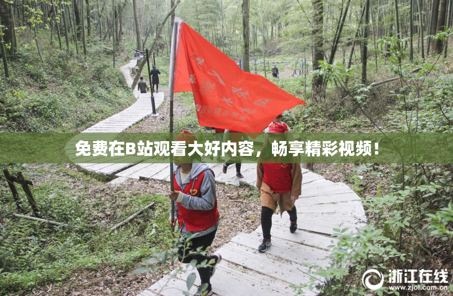 免费在B站观看大好内容，畅享精彩视频！