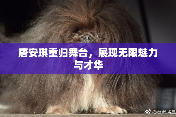 唐安琪重归舞台，展现无限魅力与才华