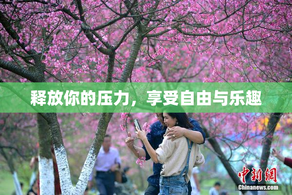 释放你的压力，享受自由与乐趣