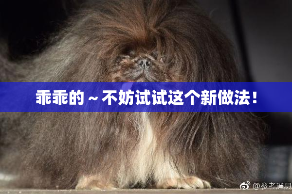 乖乖的～不妨试试这个新做法！