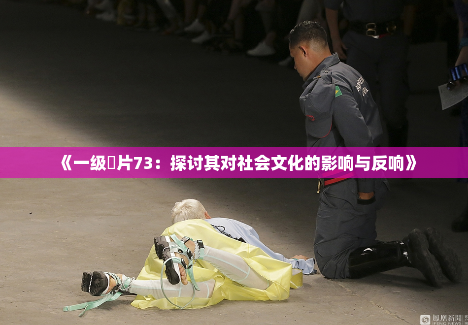 《一级婬片73：探讨其对社会文化的影响与反响》