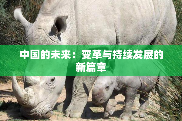 中国的未来：变革与持续发展的新篇章