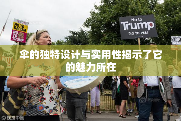伞的独特设计与实用性揭示了它的魅力所在