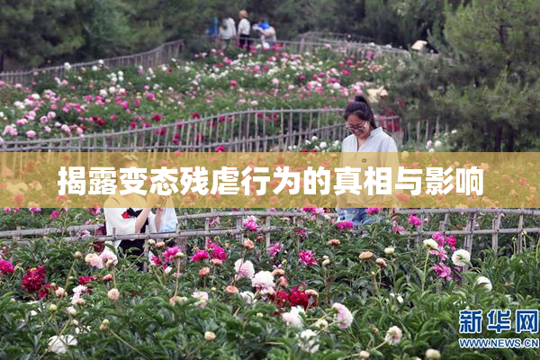 揭露变态残虐行为的真相与影响