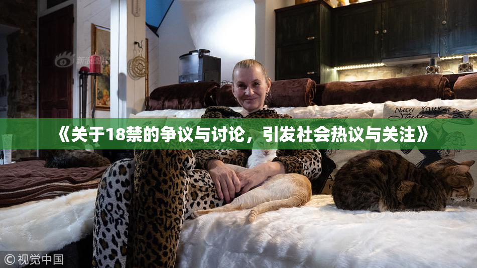 《关于18禁的争议与讨论，引发社会热议与关注》