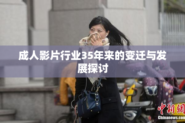 成人影片行业35年来的变迁与发展探讨