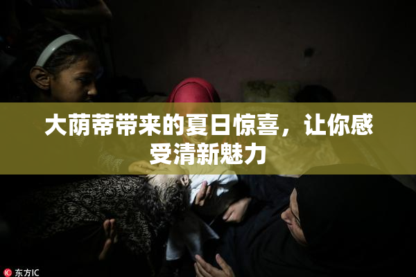 大荫蒂带来的夏日惊喜，让你感受清新魅力