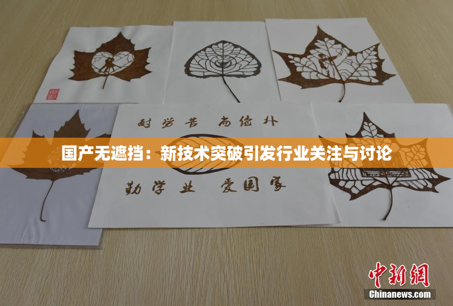 国产无遮挡：新技术突破引发行业关注与讨论