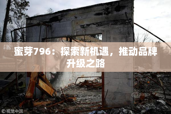 蜜芽796：探索新机遇，推动品牌升级之路