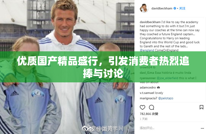 优质国产精品盛行，引发消费者热烈追捧与讨论