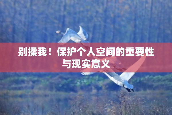 别揉我！保护个人空间的重要性与现实意义
