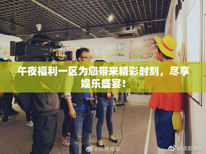 午夜福利一区为您带来精彩时刻，尽享娱乐盛宴！