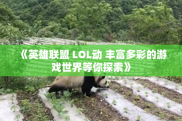 《英雄联盟 LOL动 丰富多彩的游戏世界等你探索》
