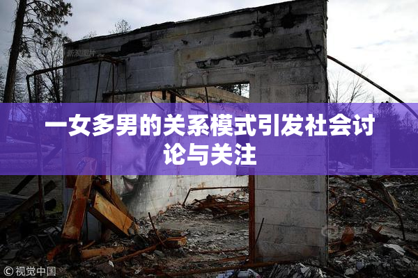 一女多男的关系模式引发社会讨论与关注