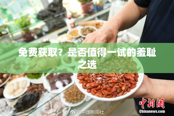 免费获取？是否值得一试的羞耻之选