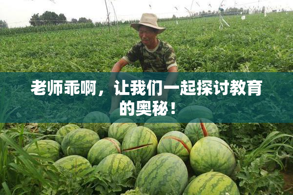老师乖啊，让我们一起探讨教育的奥秘！