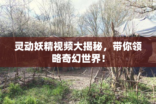 灵动妖精视频大揭秘，带你领略奇幻世界！
