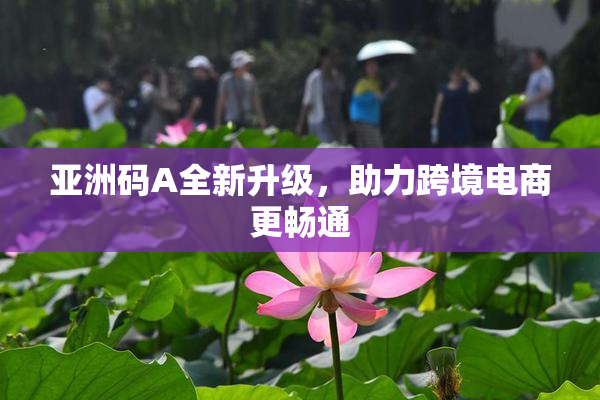 亚洲码A全新升级，助力跨境电商更畅通