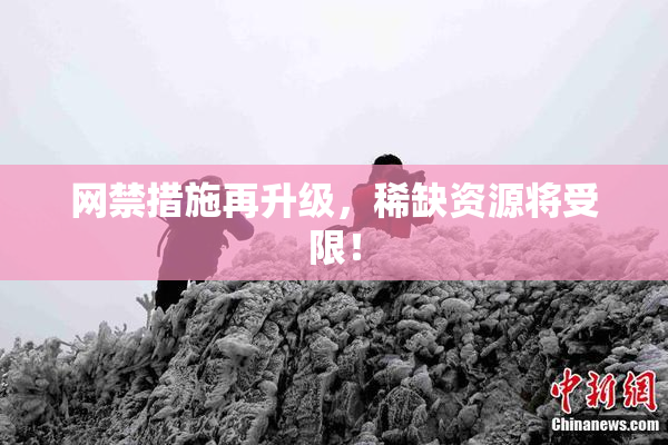 网禁措施再升级，稀缺资源将受限！